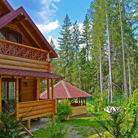 Apartmán Knyazhyi Dvir Strigalnya Exteriér fotografie